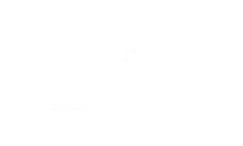 Logo von Skillisch Marketing mit den Worten Web, SEO und Sales in einem grafischen Design.