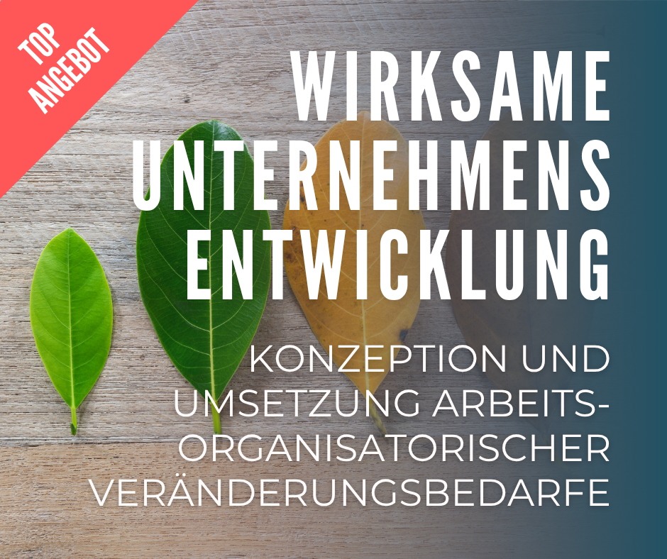 Wirksame Unternehmensentwicklung: Konzeption und Umsetzung arbeitsorganisatorischer Veränderungsbedarfe